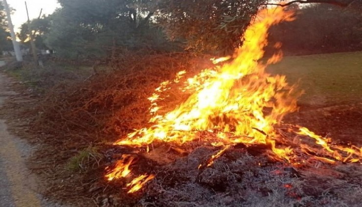 Muğla'da çıkan orman yangınları erken müdahale
