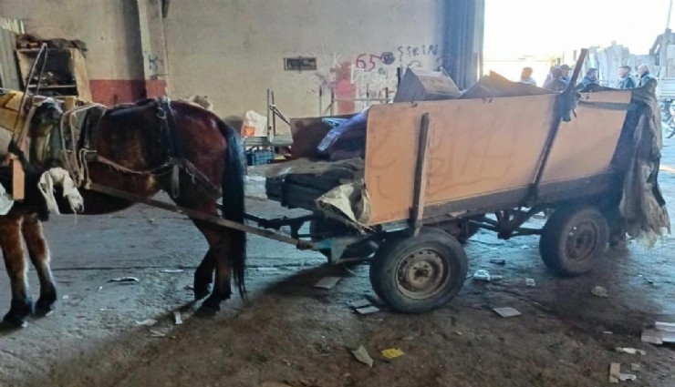 Salihli’de at arabalı hırsızlığa darbe: 2 araç trafikten men eddildi