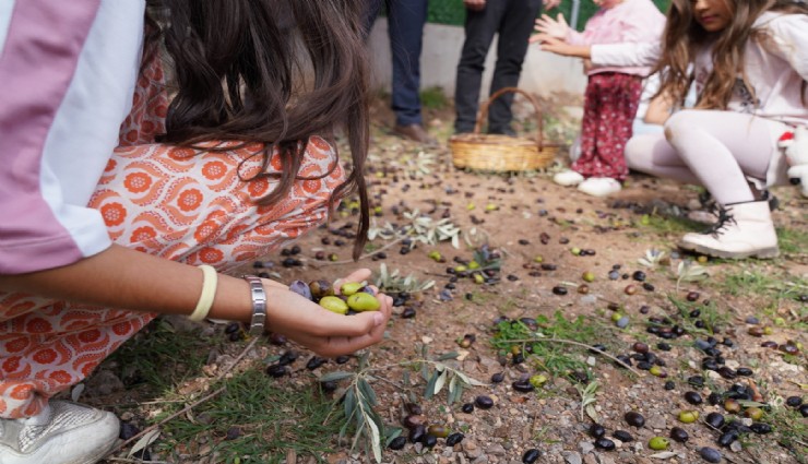 Seferihisar’da Zeytin Festivali coşkusu