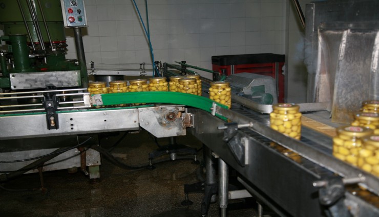 Sofralık zeytin ihracatı yeni sezona yüzde 13’lük artışla girdi