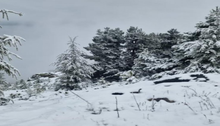 Muğla’ya mevsimin ilk karı yağdı
