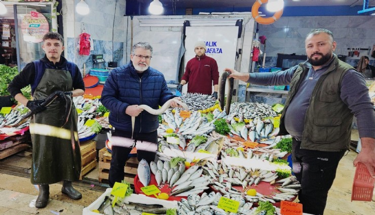 Yılan balıkları 7 bin kilometre kat ederek Meksika Körfezi’nden Aydın’a ulaştı