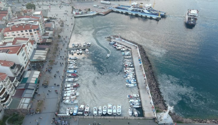 Çanakkale'de müsilaj alarmı: Balıkçılar 1 aydır denize ağ atamıyor
