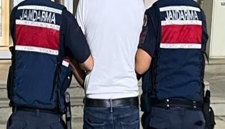 Aydın'da jandarma aranan şahıslara göz açtırmadı