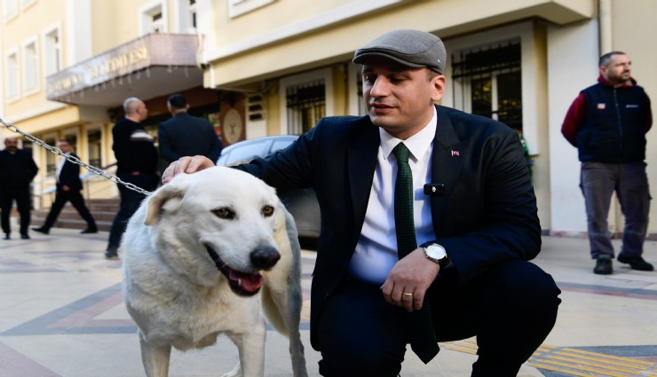 Başkan Eşki’den Hayvan Hakları savunucularına güçlü destek