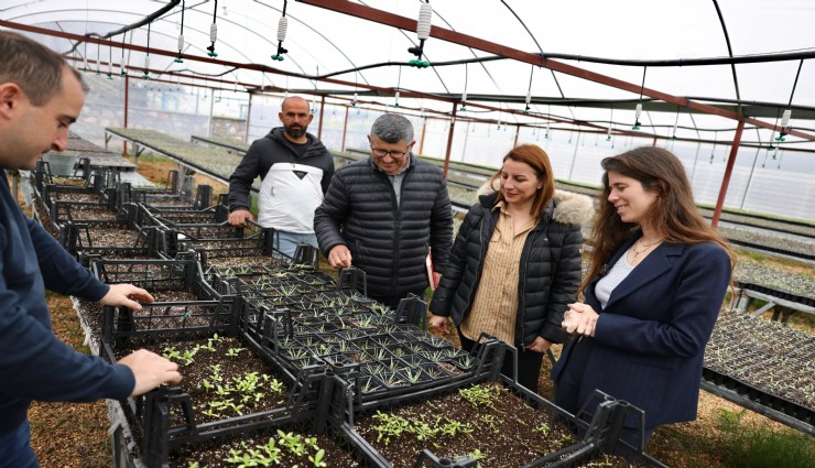 Çeşme Belediyesi’nden sürdürülebilir tarıma destek
