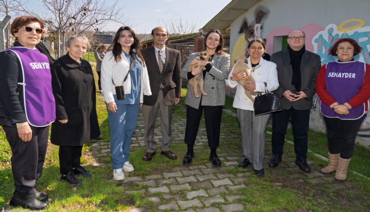 Öznur Tugay'dan yurttaşlara barınaklardan hayvan sahiplenme çağrısı