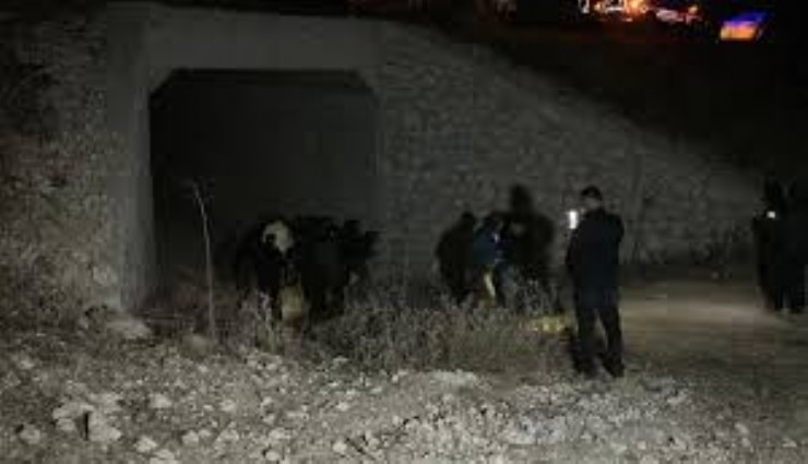 Uşak'ta ormanlık alanda erkek cesedi bulundu