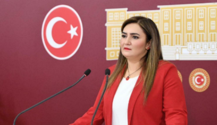 CHP İzmir Milletvekili Kılıç'tan İzmir Barosu'nun o raporunu TBMM'ye taşıdı