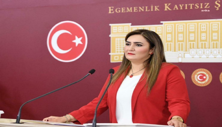 CHP'li Vekil Sevda Erdan Kılıç'tan kurultay açıklaması