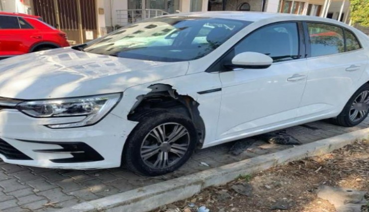 Fethiye'de domuz sürüleri otomobili parçaladı