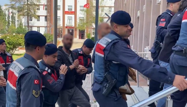 Kaçak üretim çiftliği şüphelileri: Tek suçumuz civciv satmak, civciv baronlarını yakalıyorlar