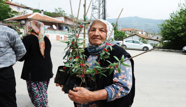 Karşıyaka Belediyesi’nden Sancaklı’da fidan dayanışması