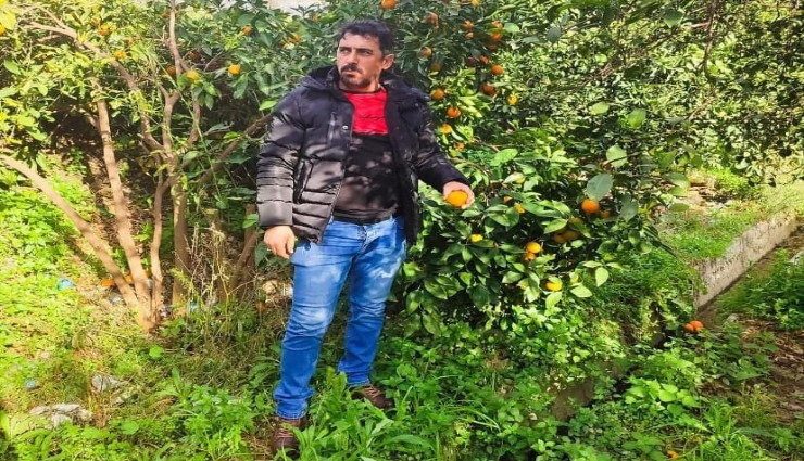 Kazadan dolayı hayatını kaybetti sanıldı: Otopside kafasından mermi çekirdeği çıktı