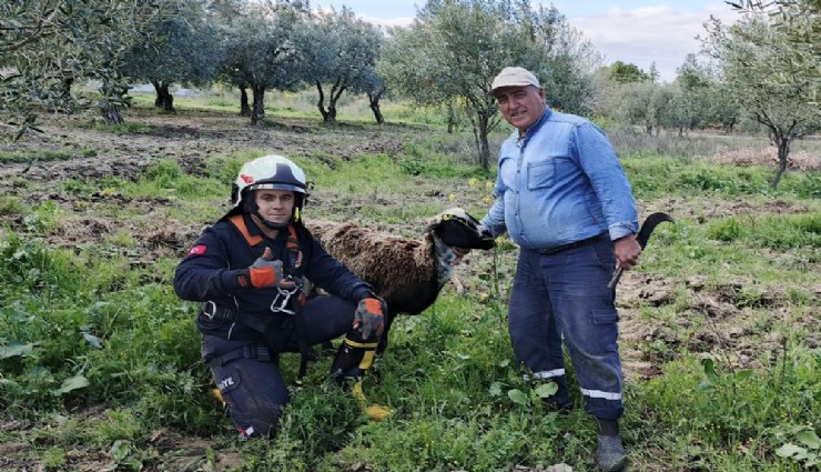 Manisa'da kuyuya düşen koyuna kurtarma operasyonu