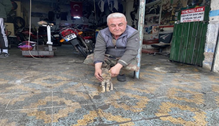 Ne varsa esnafta var: Esnafın duyarlılığı kediyi hayata bağladı
