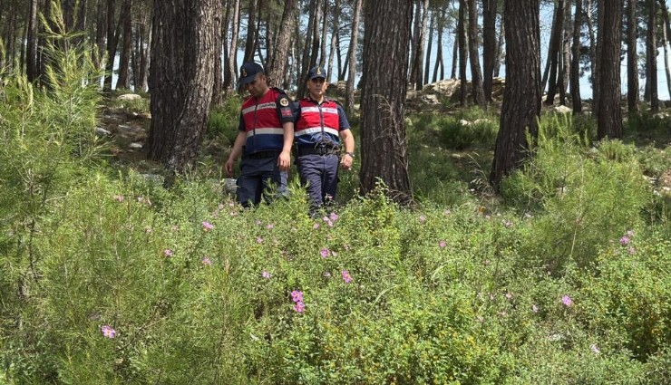 Bodrum’da ormanlara giriş yasaklandı