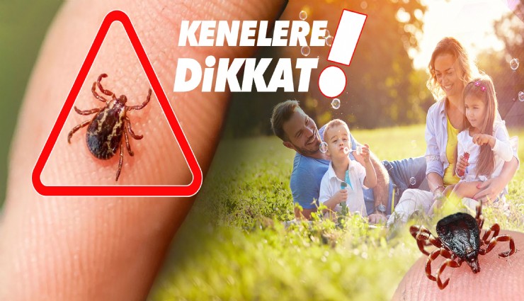 Havalar ısındı, kene kabusu geri döndü