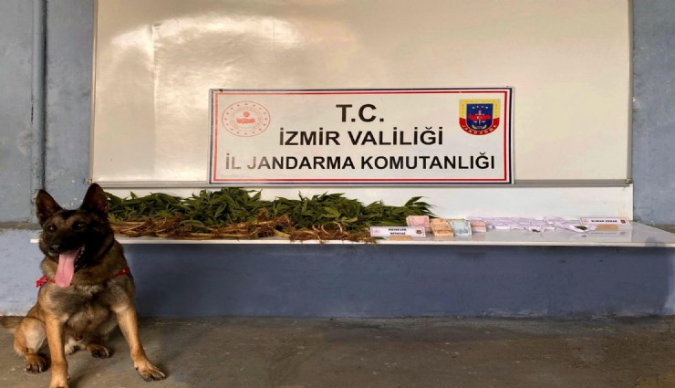İzmir'de narkotik operasyonların gözdesi 'Atik'li baskın