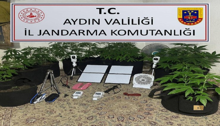 Uzaktan kontrolle metruk binada uyuşturucu yetiştirdi