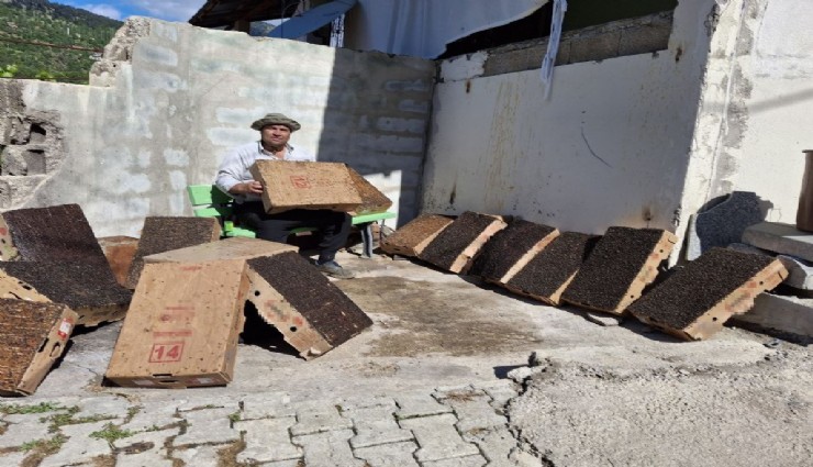 Adana’da sineklerle kartonla mücadele