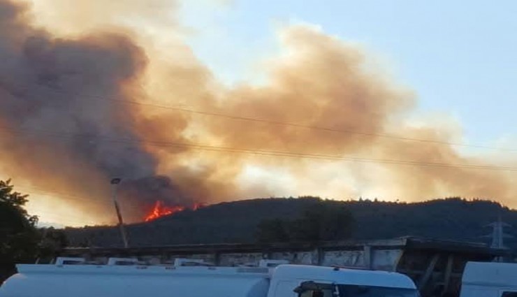Aliağa'daki orman yangıyla ilgili 1 kişi tutuklandı