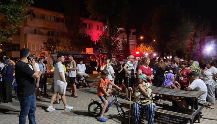 Aydın'da korkutan yangın