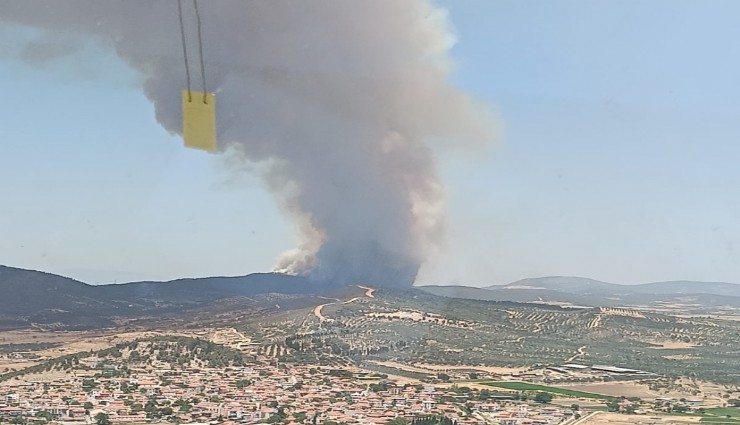 Foça’da orman yangını