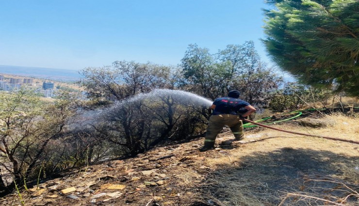 İzmir İtfaiyesi 48 saatte 227 yangına müdahale etti
