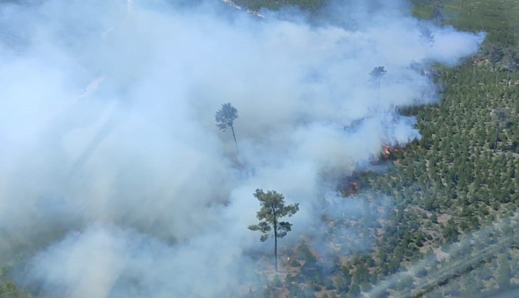 Manisa'da çıkan orman yangını