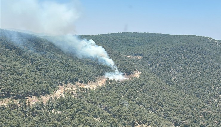 Manisa'da orman yangını: Müdahale sürüyor
