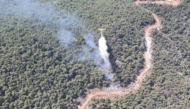 Manisa'daki orman yangını kontrol altına alındı
