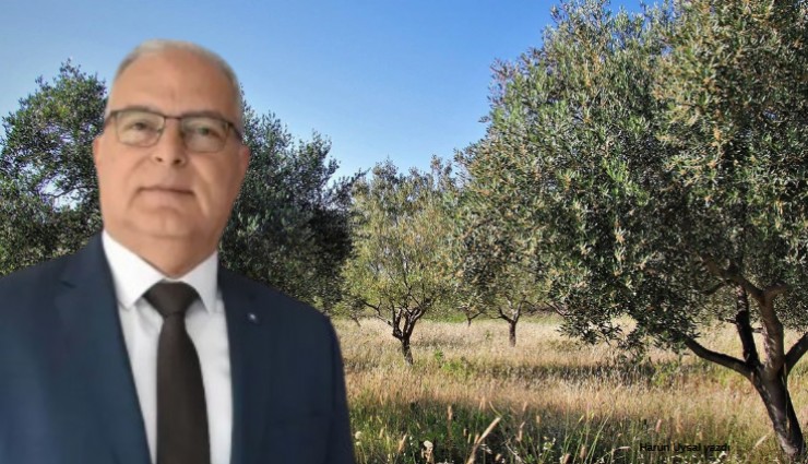 ZMO İzmir Şube Başkanı Çakıcı’dan zeytin alanlarının katliamına tepki: Halkın gıdaya erişimi tehdit altında