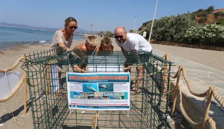 İzmir sahilinde yumurtlayan Caretta Caretta heyecan yarattı