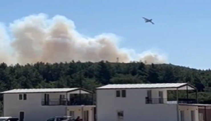 Urla'daki yangın kontrol altına alındı