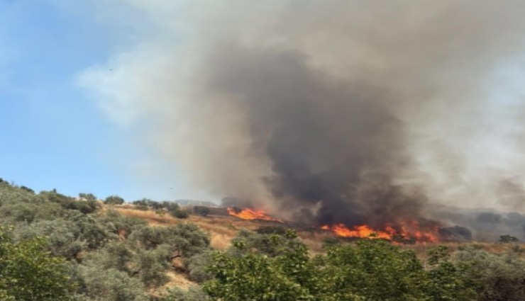 Yangınlar bu defa Selçuk'a sıçradı, alevlere karadan müdahale yapılıyor