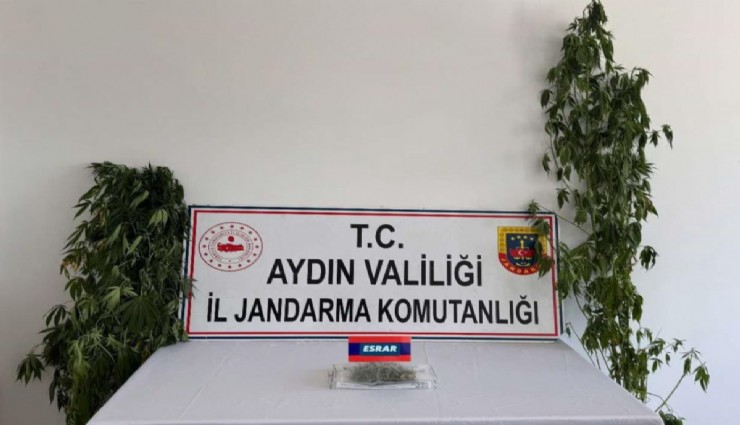 Aydın’da tacirlere baskın sürprizi: 13 şüpheli yakalandı