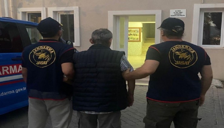 Çocukları kullanıp sokak hayvanlarını zehirlemişti: Yakalanıp tutuklandı