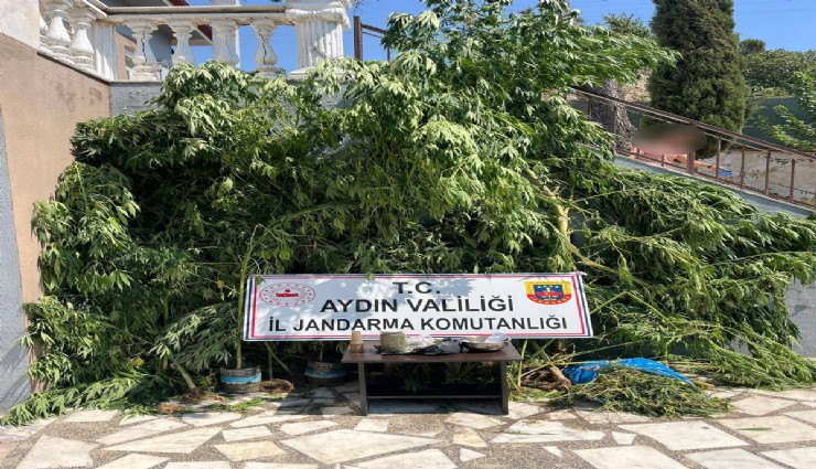 Evinin bahçesine saklamak istedi, narkotik köpeğine takıldı