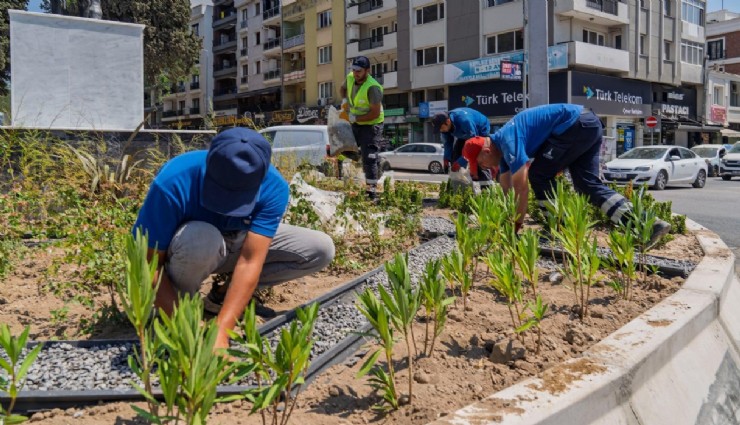 İzmir Büyükşehir Belediyesi’nden kuraklıkla mücadele: Susuzluğa dayanıklı bitkilerle yeşil alanlar