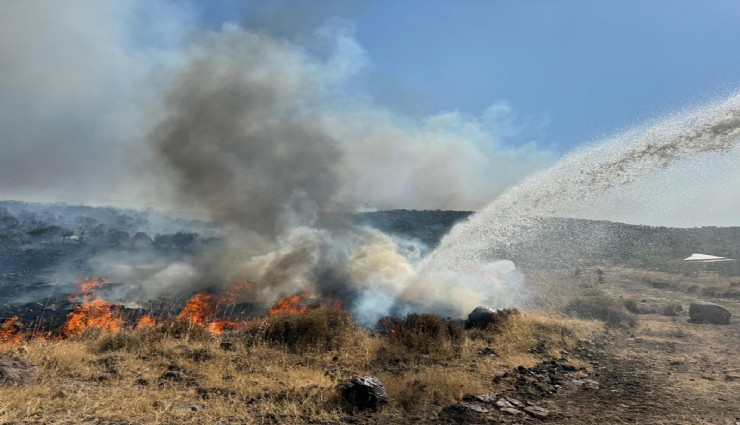 İzmir İtfaiyesi kentsel ve kırsal yangınlarla mücadele ediyor
