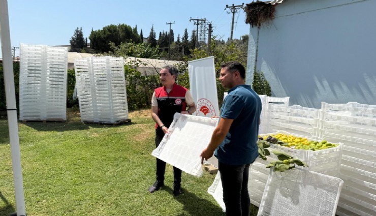 Kuru incir üreticilerine kerevet dağıtıldı