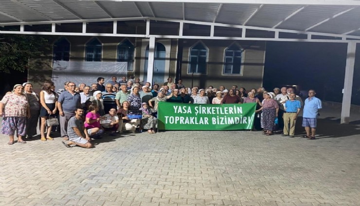 Milaslı zeytin üreticileri zeytinlikleri yok edecek açık kömür ocağına karşı dava açtı