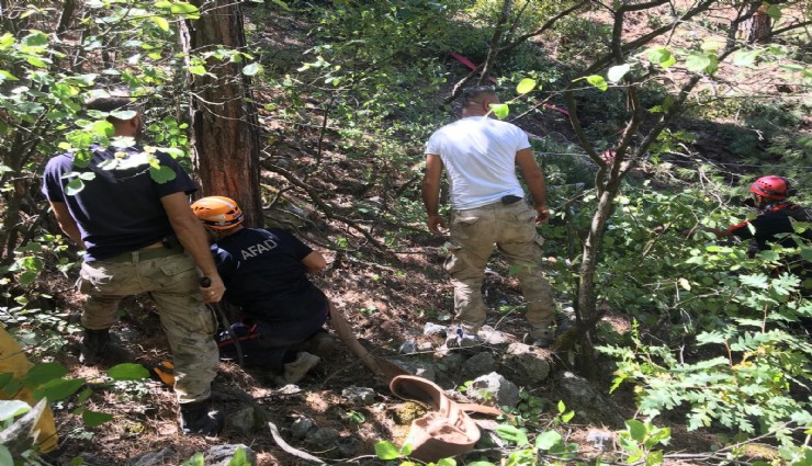 Osmaniye'den acı haber: Arazöz devrildi, 1 işçi hayatını kaybetti