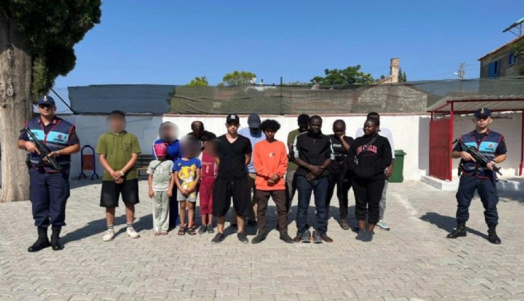 Zeytinlik alana saklandılar: 16 düzensiz göçmen yakalandı