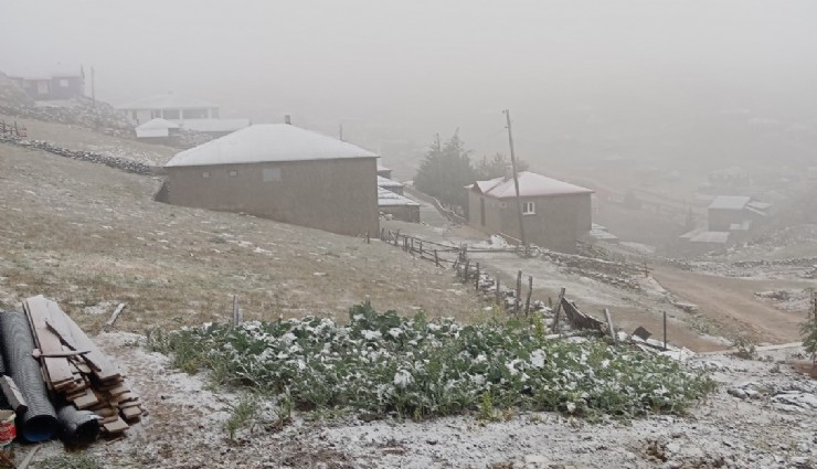 Doğu Karadeniz zirvesine kar yağdı