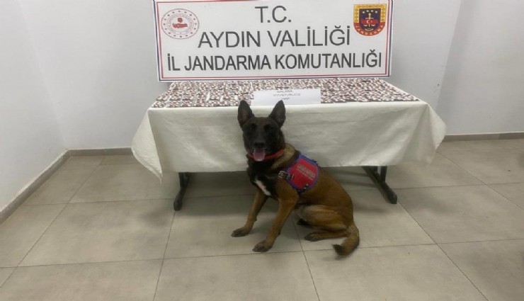 Jandarmadan uyuşturucu operasyonu: 3 şüpheli gözaltında