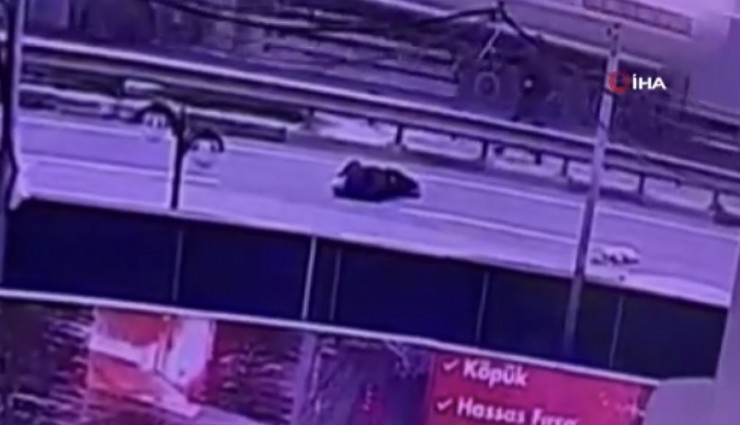 Manisa’da feci kaza: Kamyon 77 yaşındaki adamı hayattan koparttı
