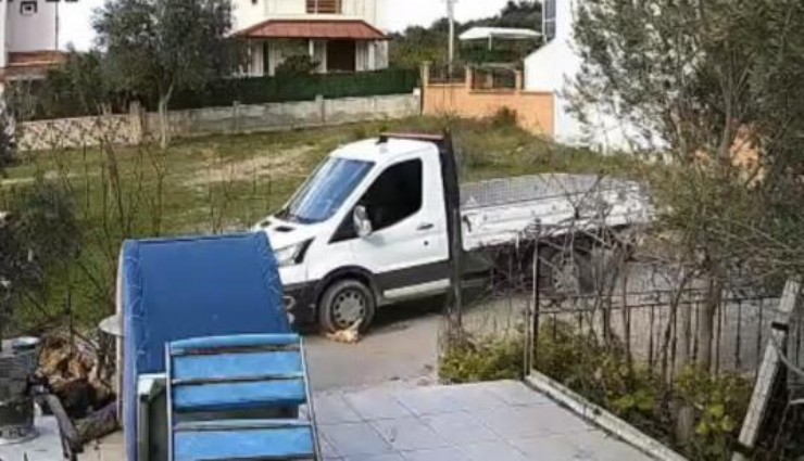 Seferihisar’da vicdanları sızlatan olay: Yerde yatan köpeği ezip kaçtı