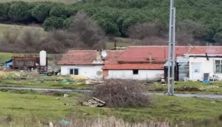 Arnavutköy’de çiftlik evinde elektrikli testere saldırısı